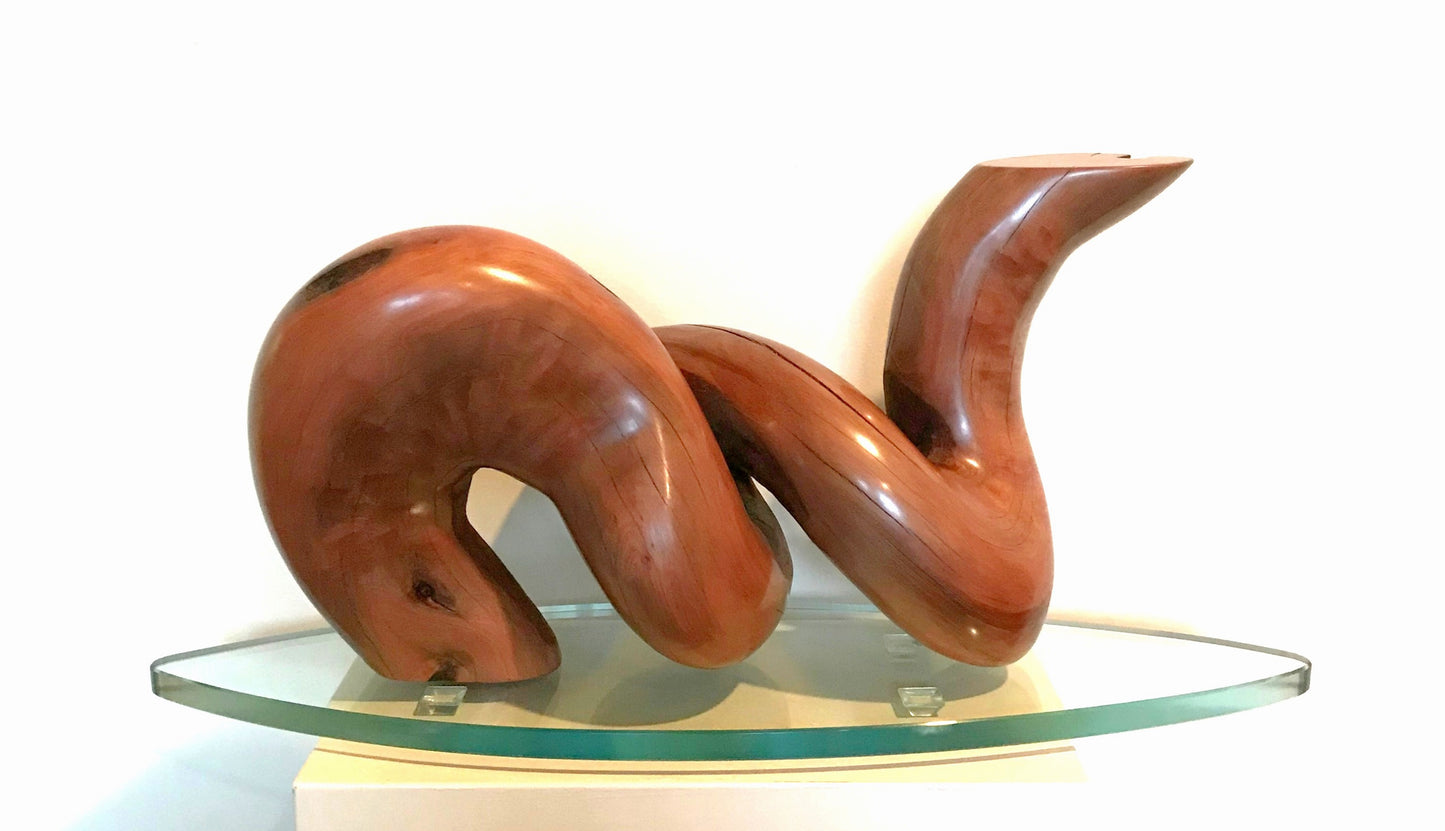 "Koa" 2018 (Delight)