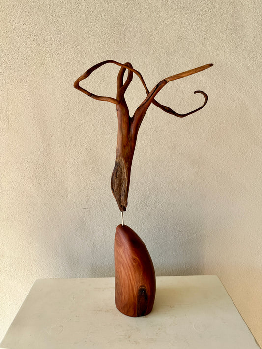 "Life Force: Tama Matua" 2026