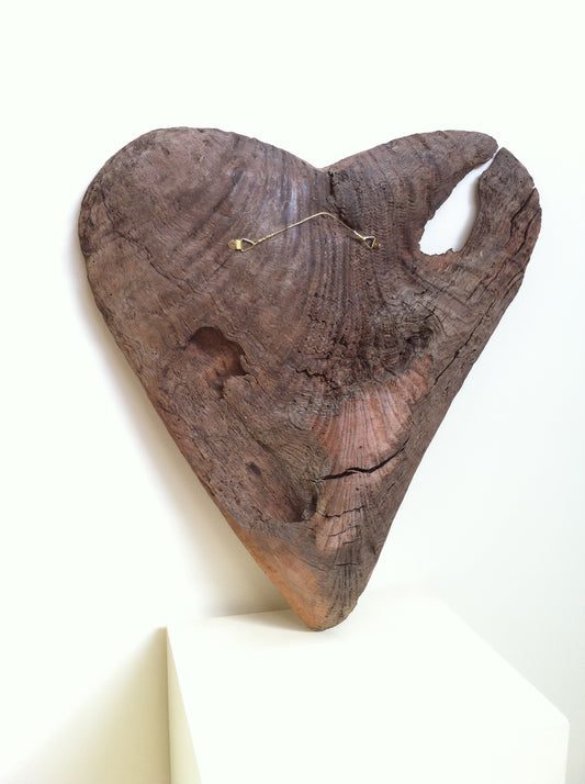 "The Transforming Fire of Love 2" 2015