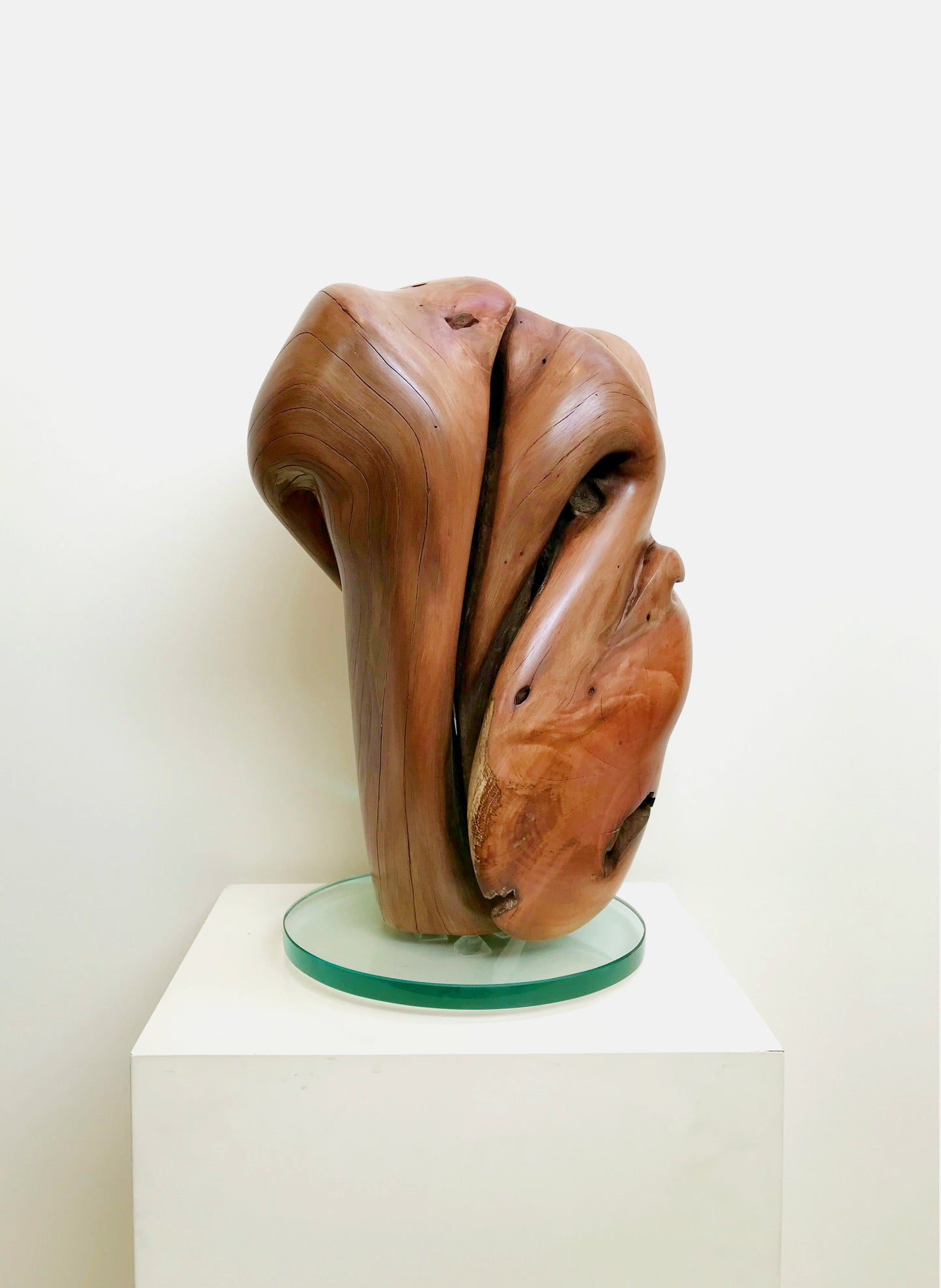 "Sentinel 1" 2018