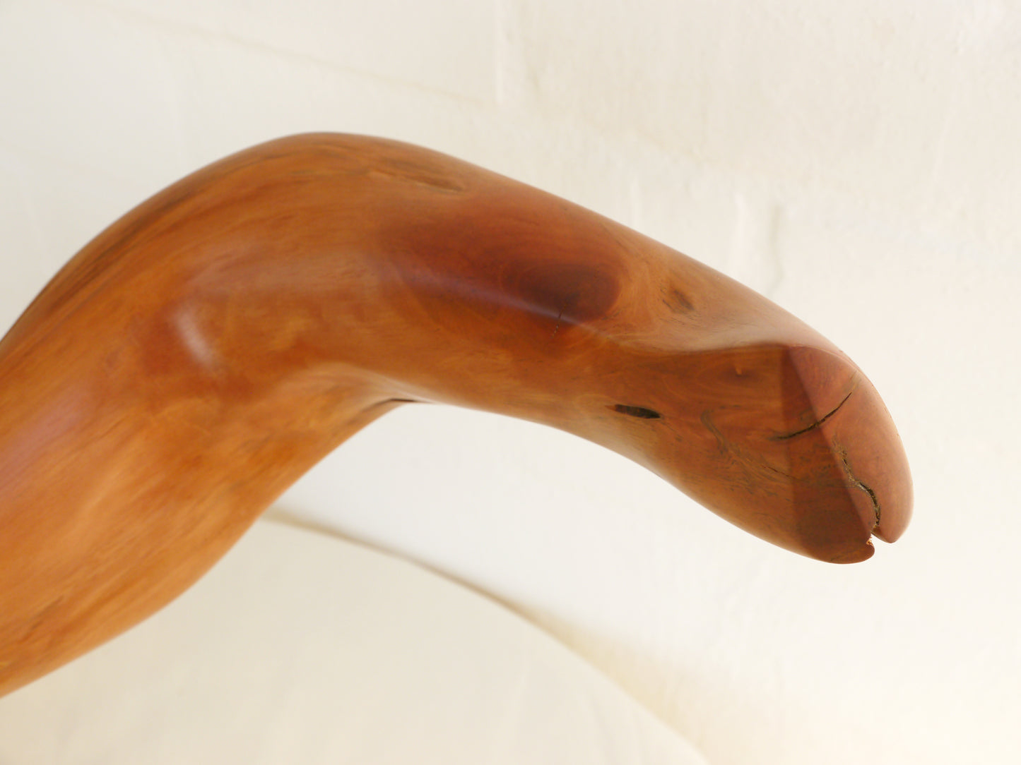"Embrace" 2013