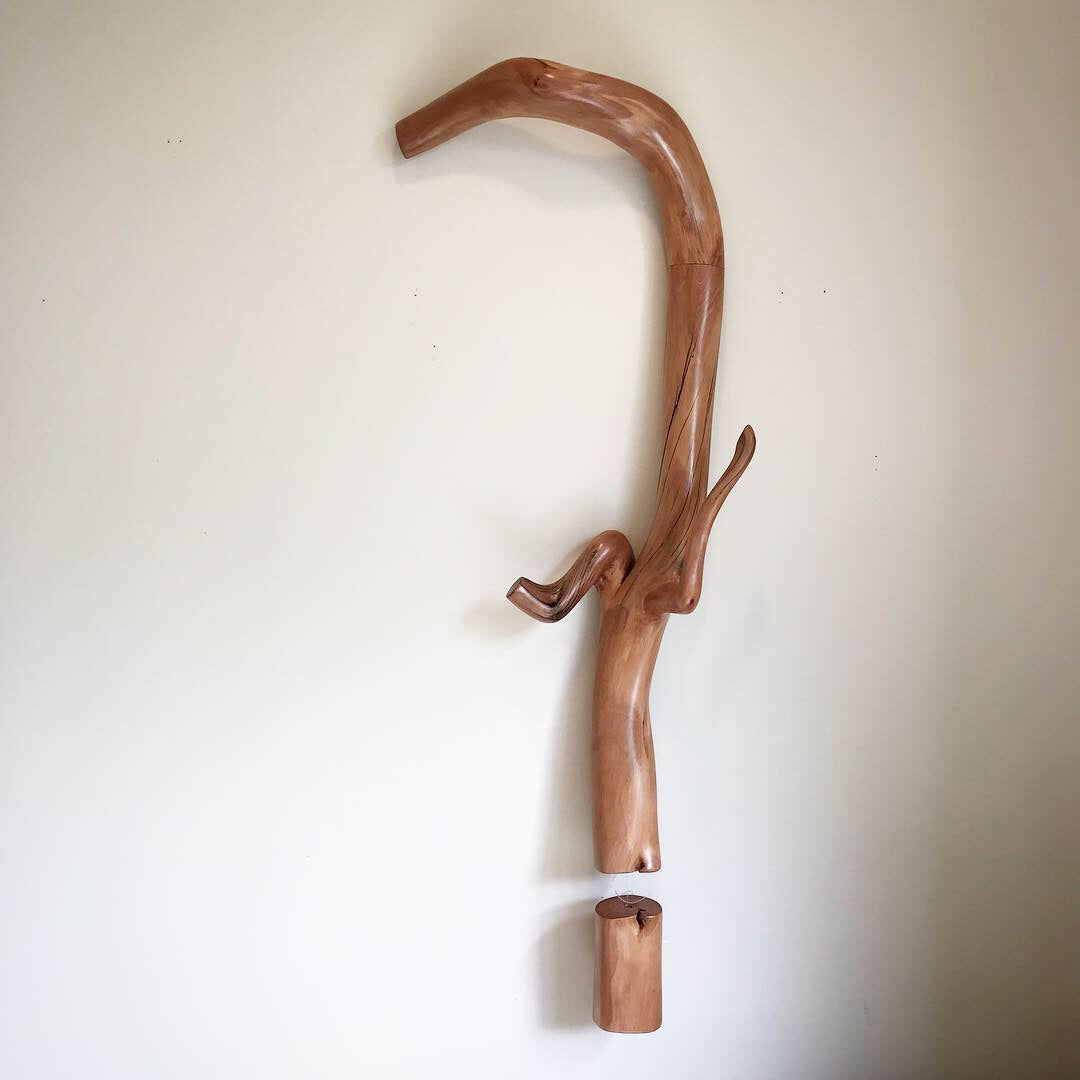 "Question 5" 2018