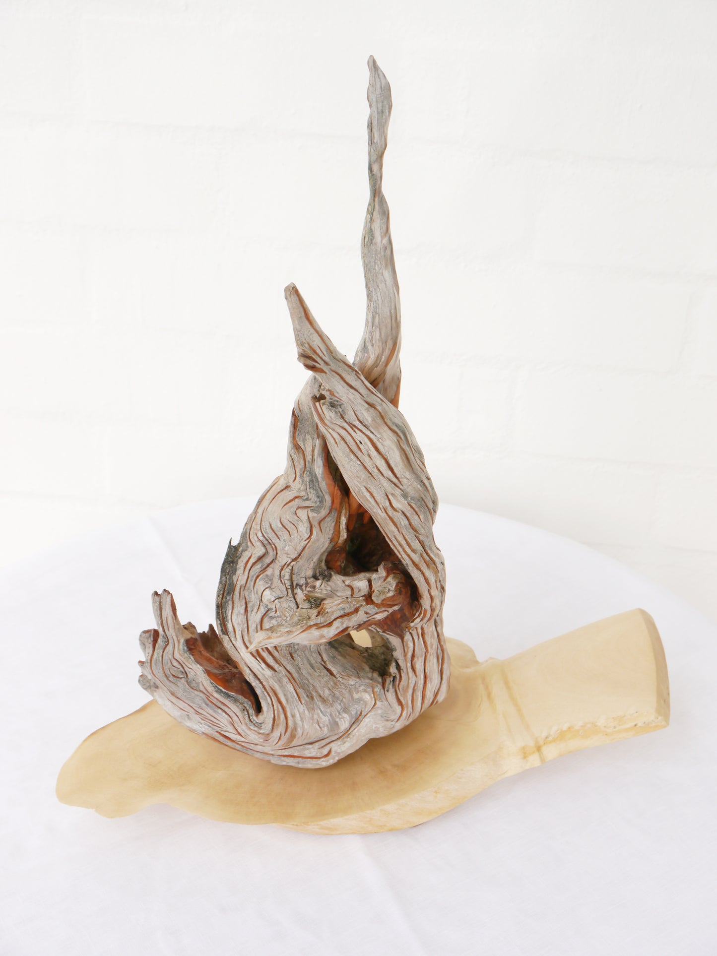 "Fire" 2013