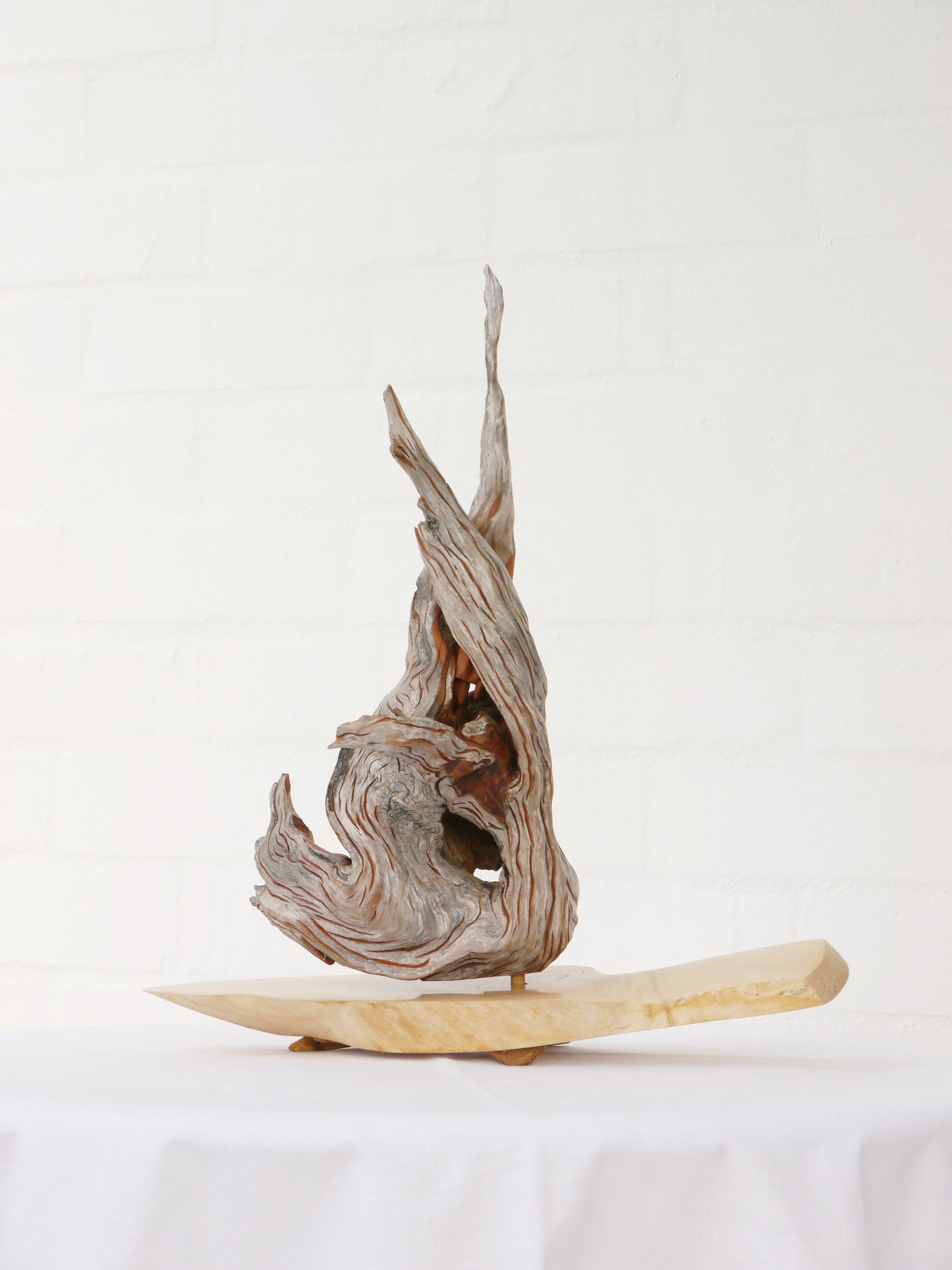"Fire" 2013