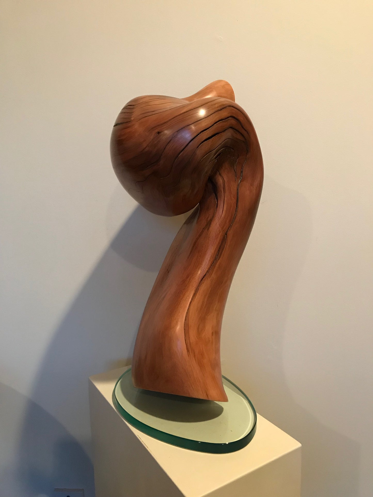 "Sentinel 2" 2018