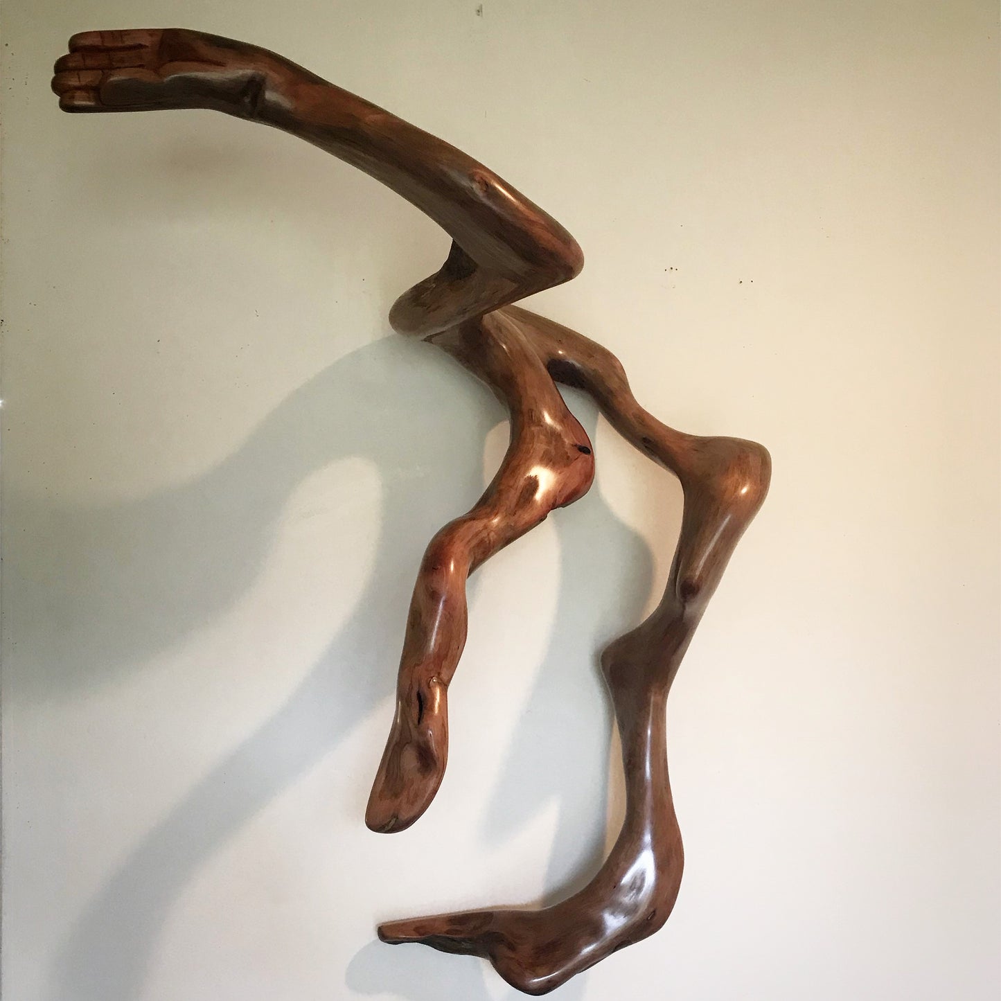 "Shadow and Grace" 2018
