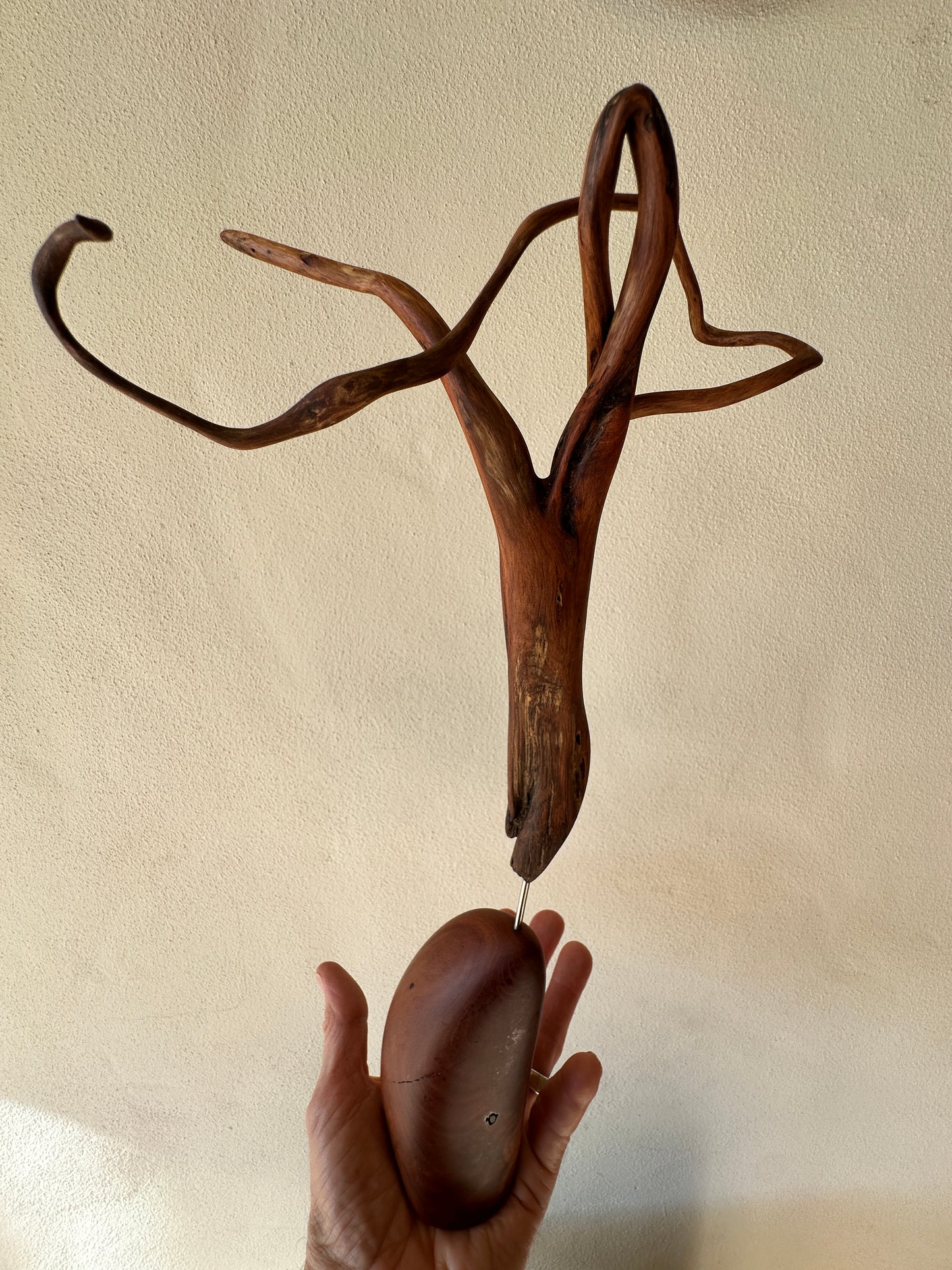 "Life Force: Tama Matua" 2026