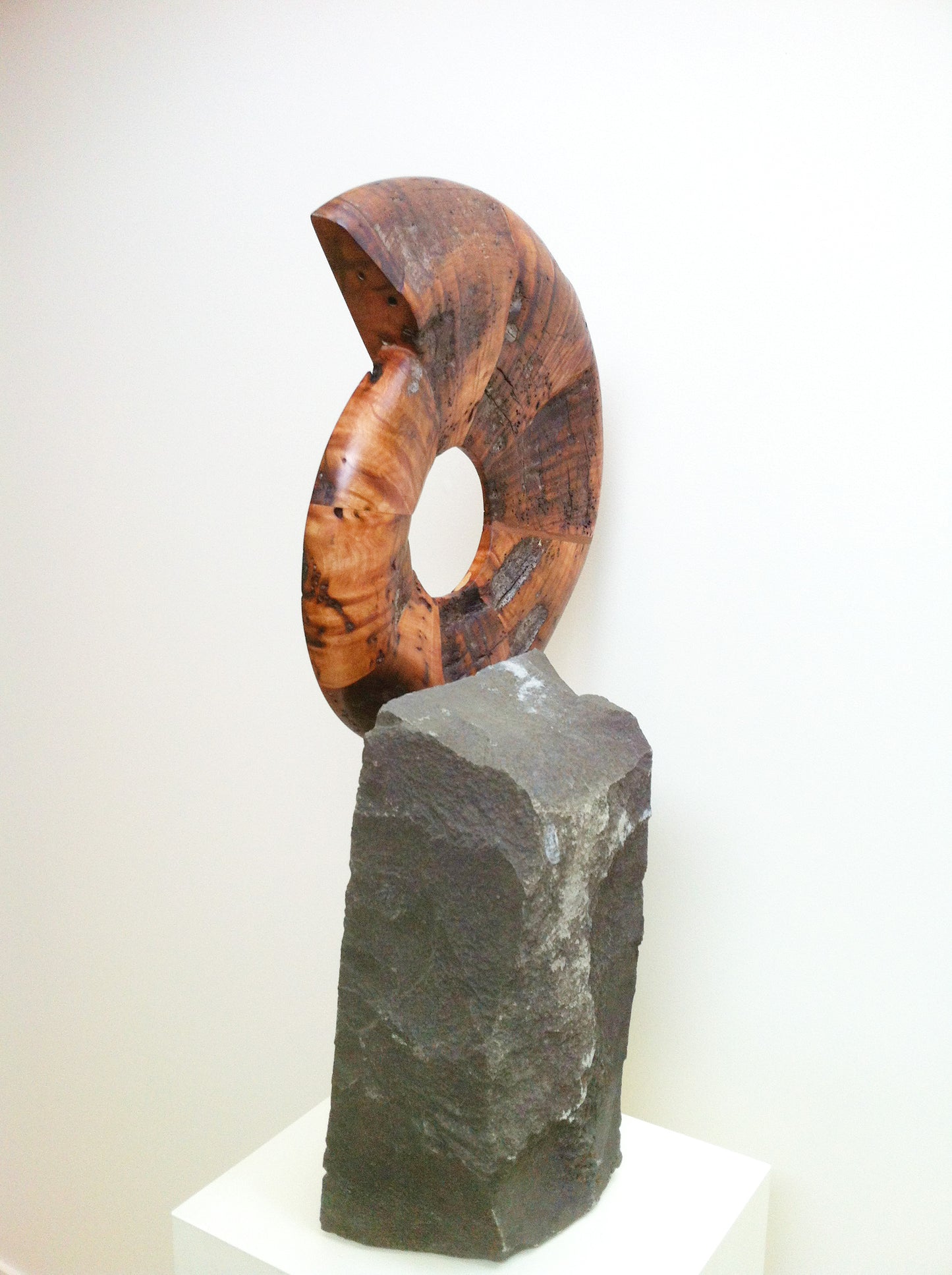 "Hope and Wholeness" 2016