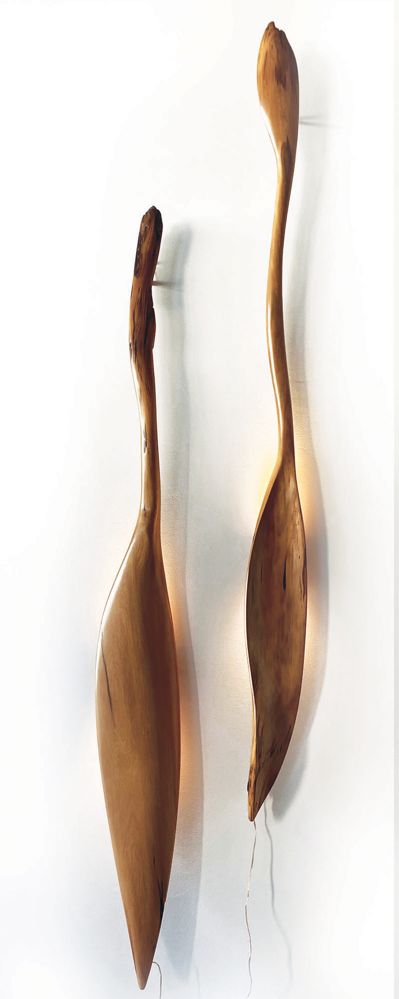 "Waka Paddle 3" 2022