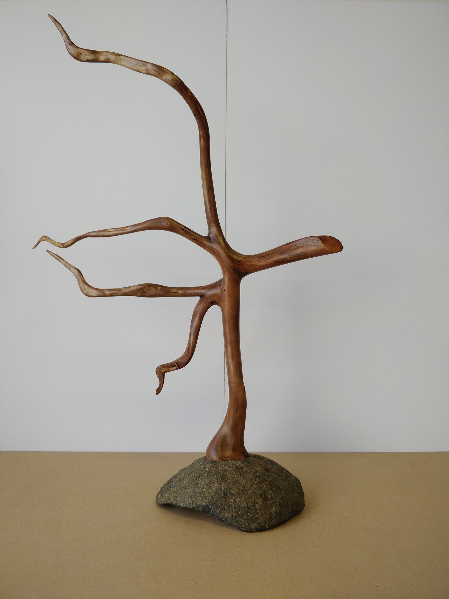 "One Tree Rock" 2020