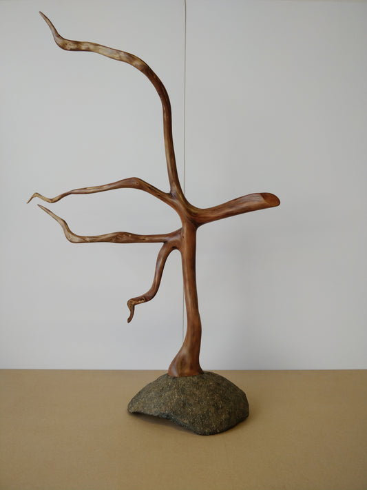 "One Tree Rock" 2020