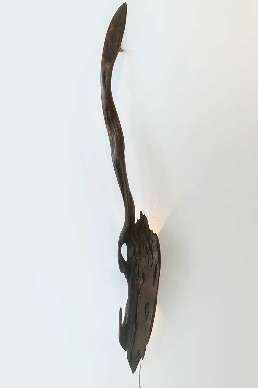 "Waka Paddle 6" 2023