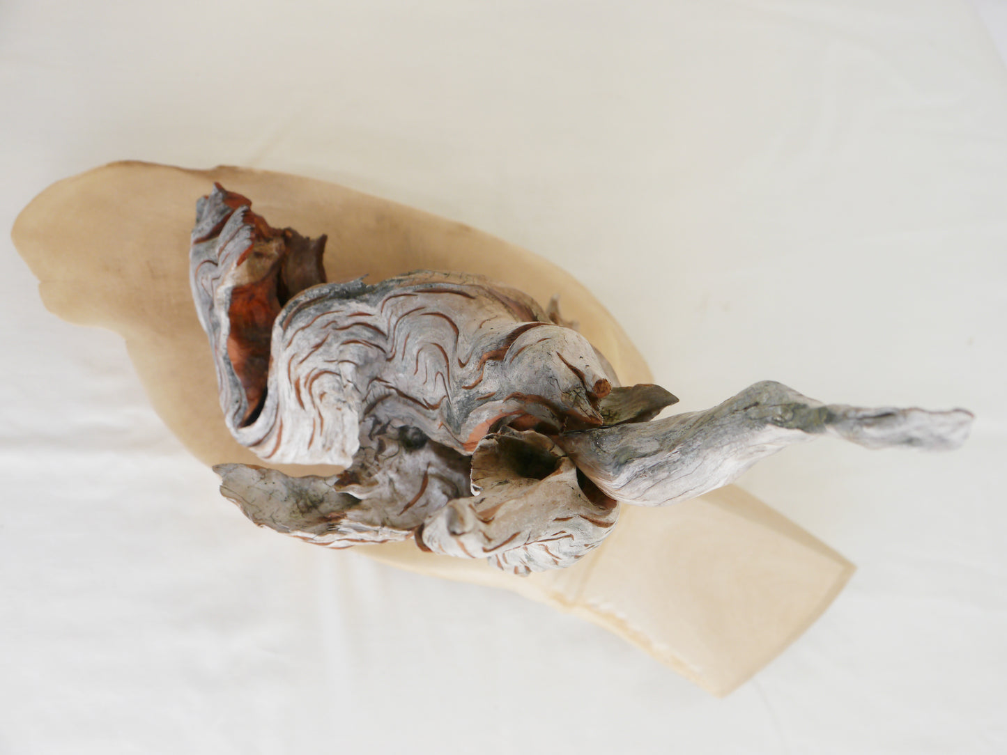 "Fire" 2013