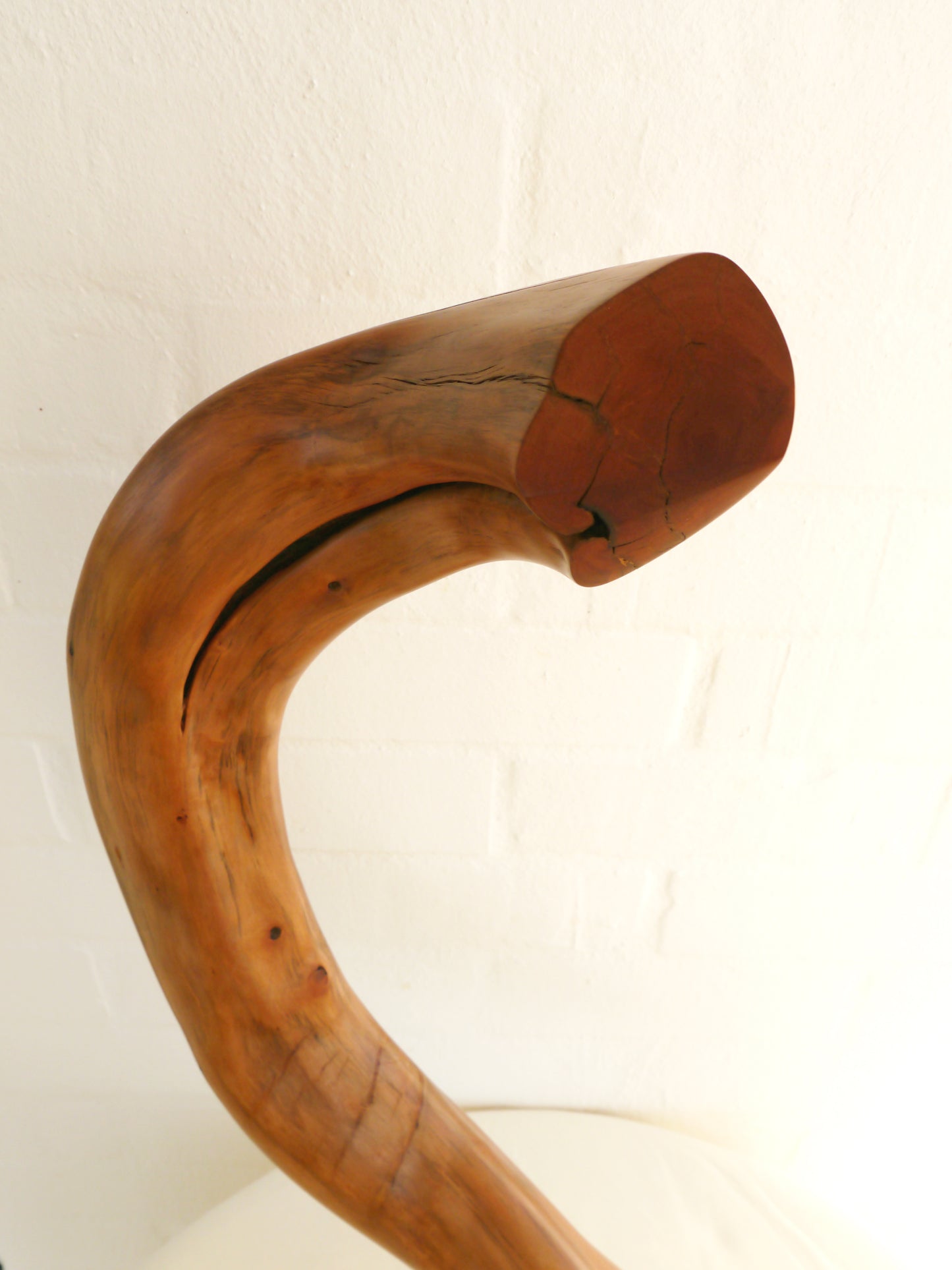 "Embrace" 2013