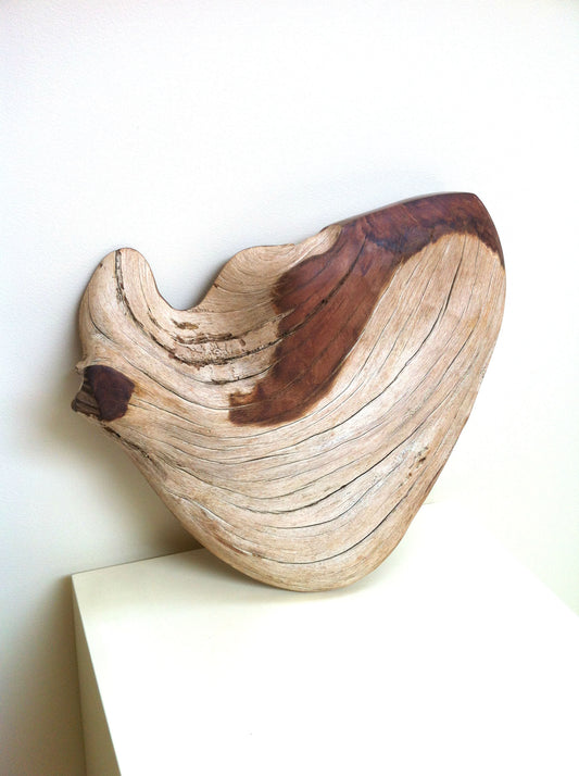 "Smile from the Heart" 2015