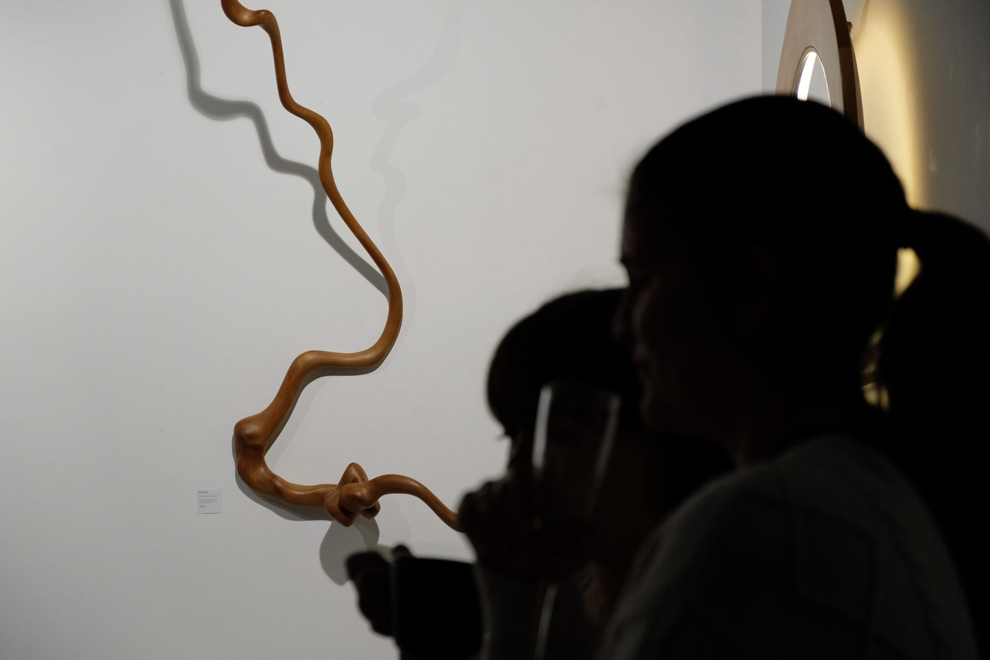 "Squiggle" 2018
