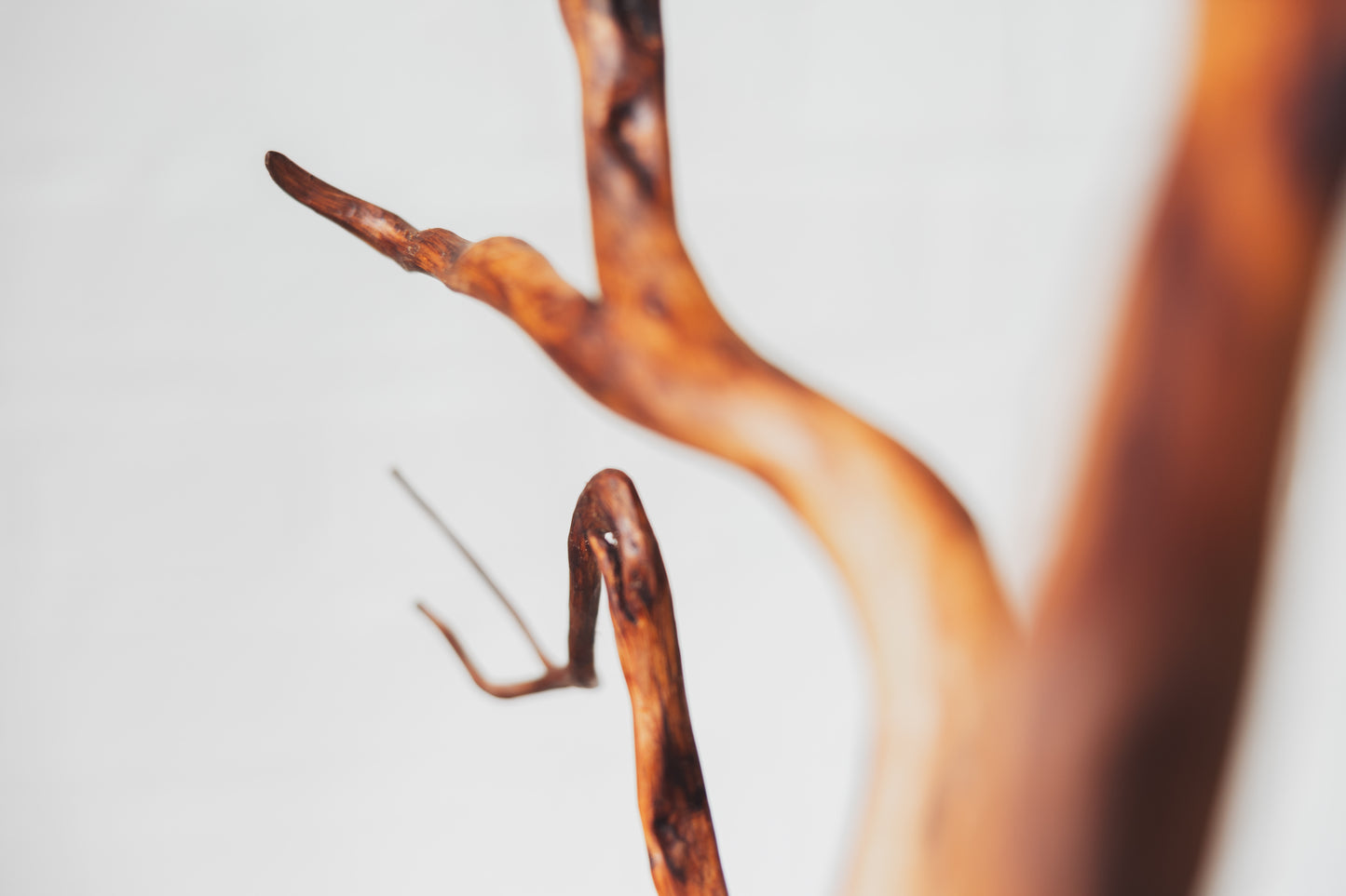 "Life Force 9" 2026