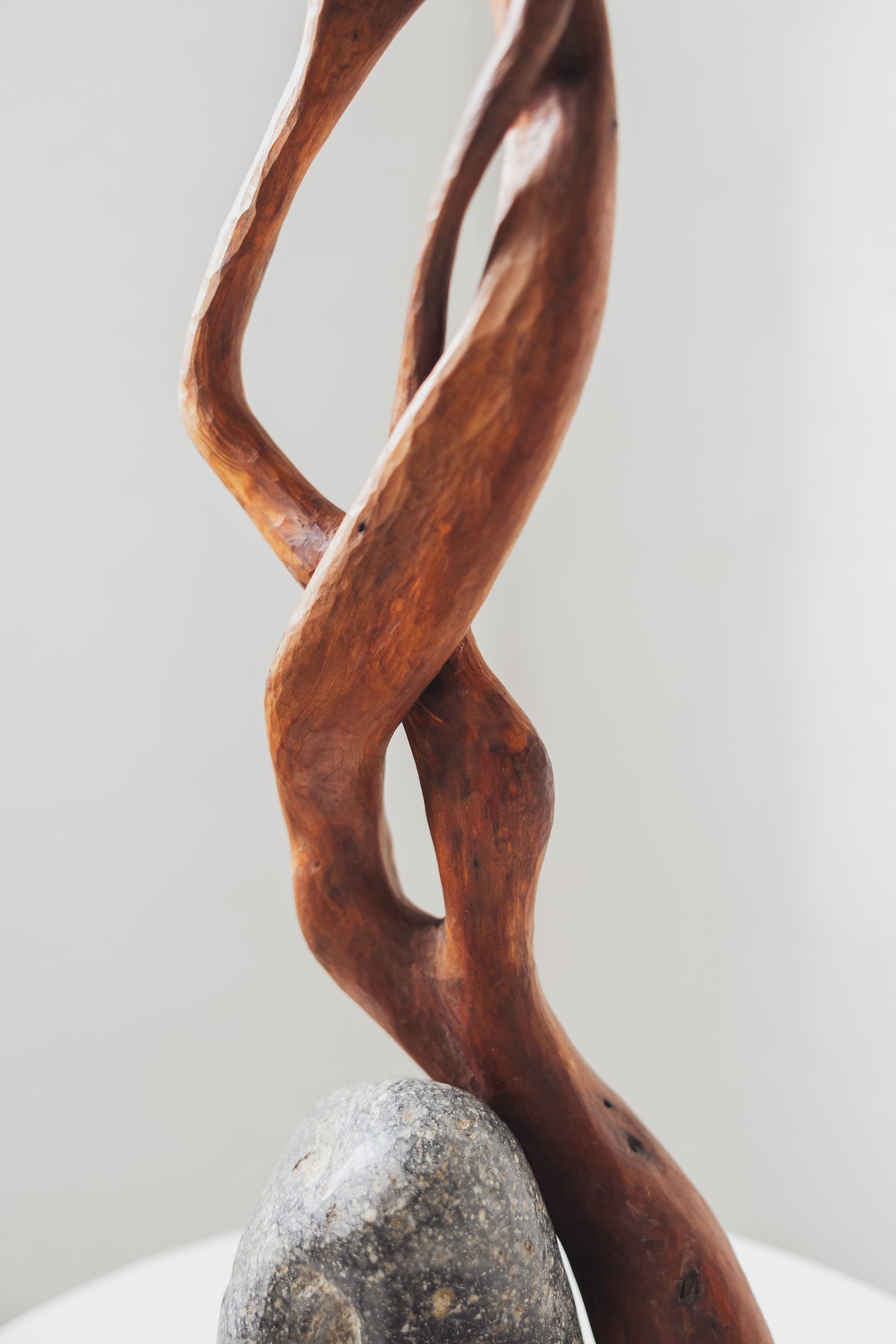 "Life Force 7" 2026