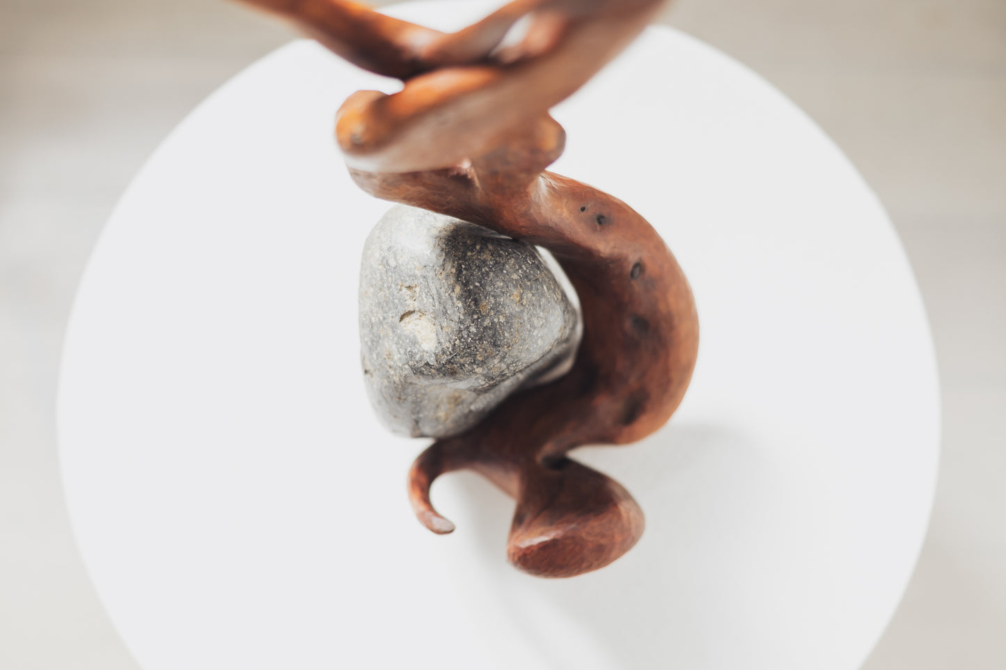 "Life Force 7" 2026