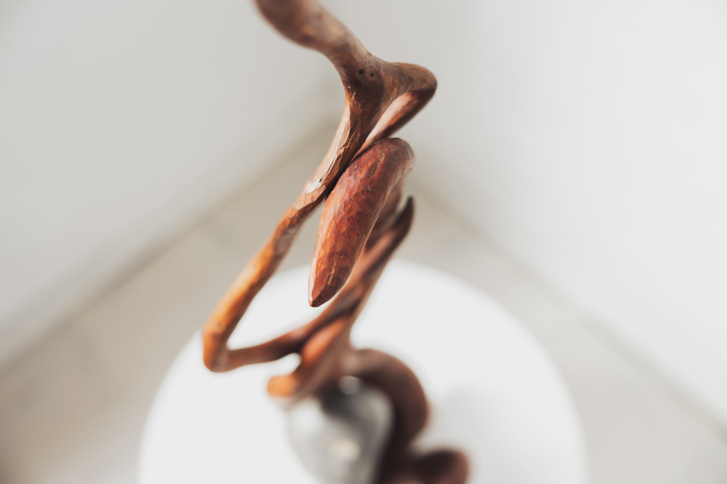 "Life Force 7" 2026