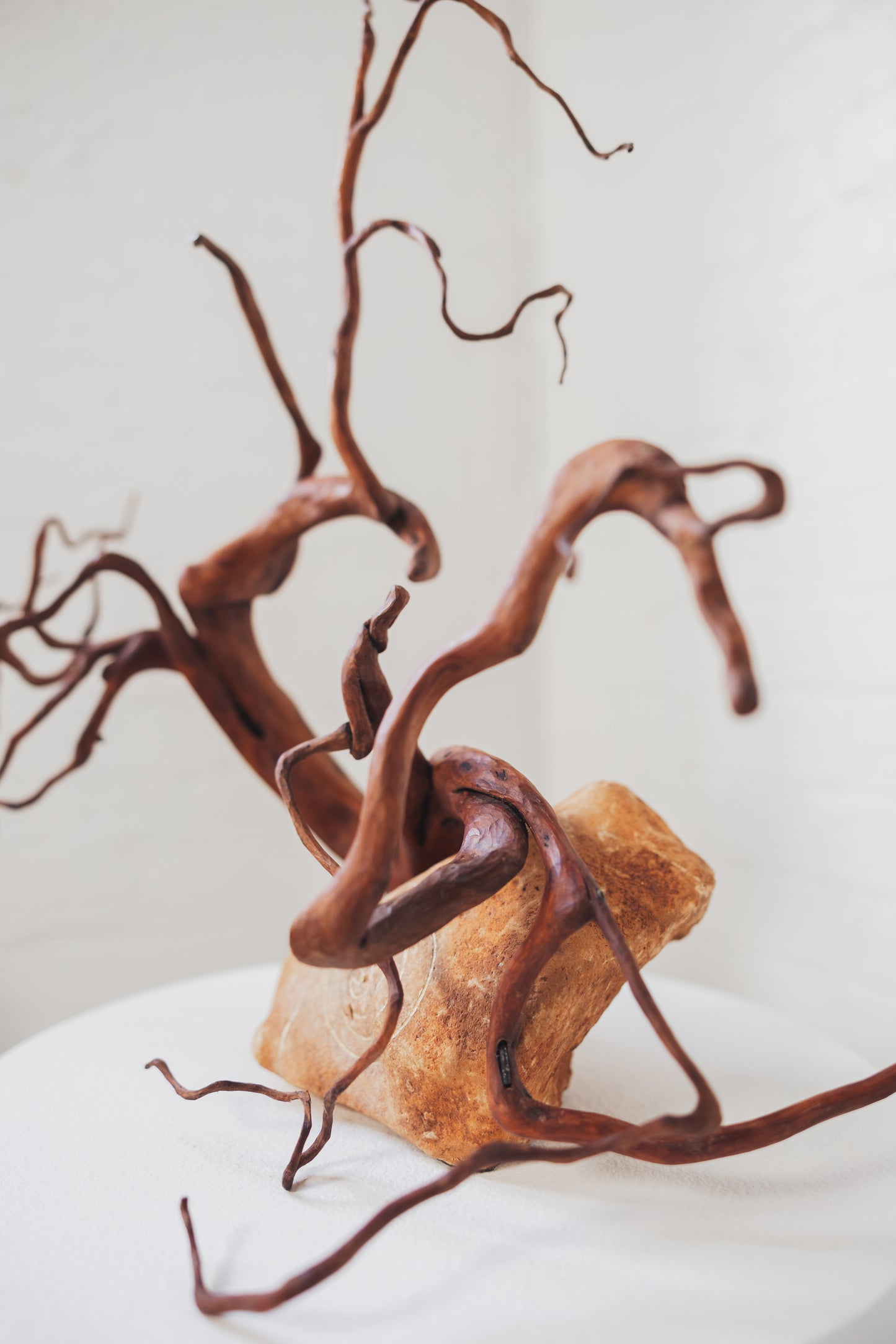 "Life Force 6" 2026