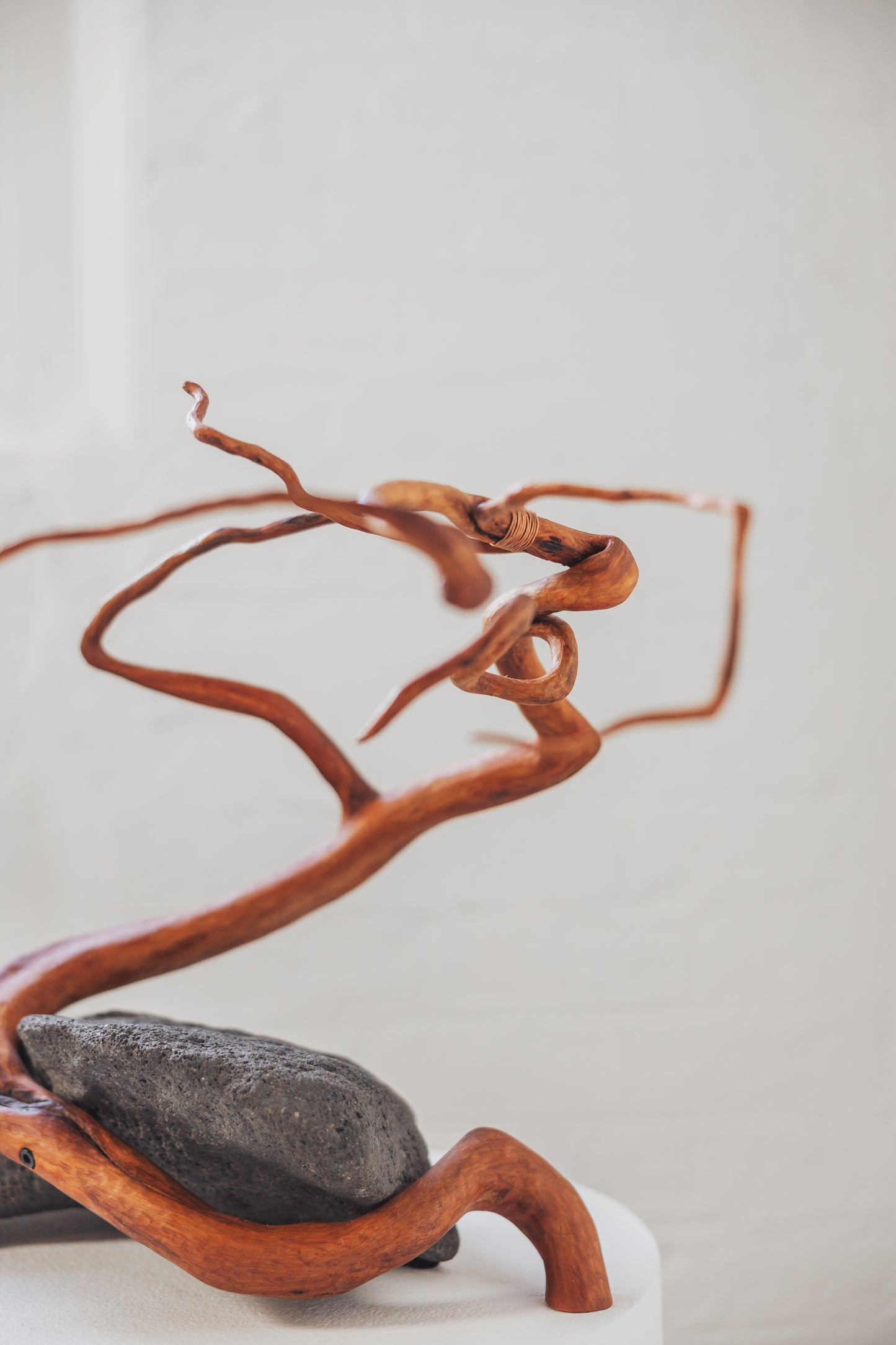 "Life Force 8" 2026