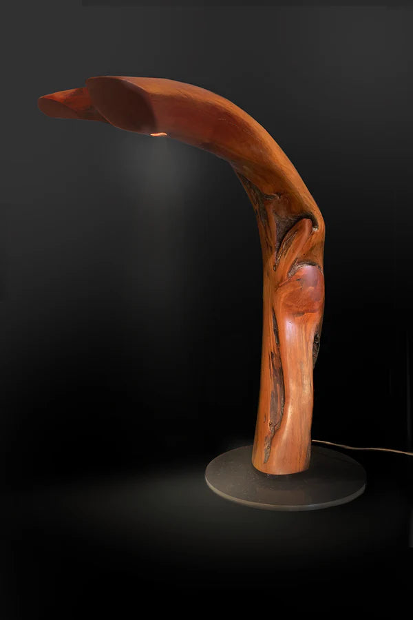 "Swivel Lamp" 2023