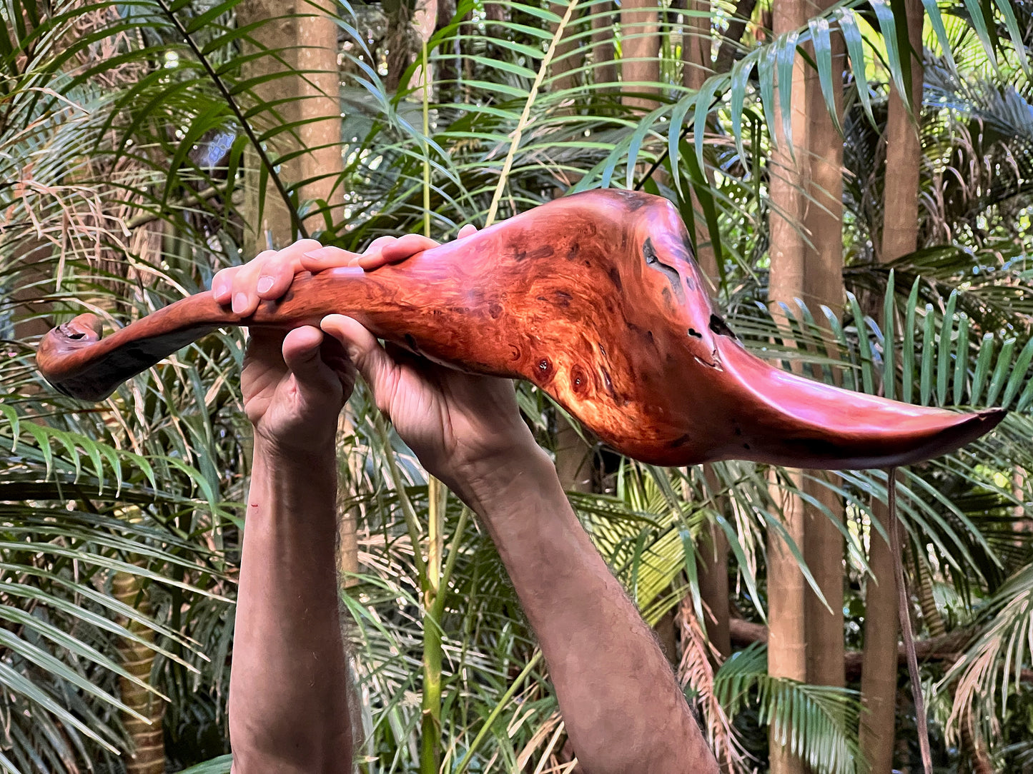 "Waka Paddle 1" 2023