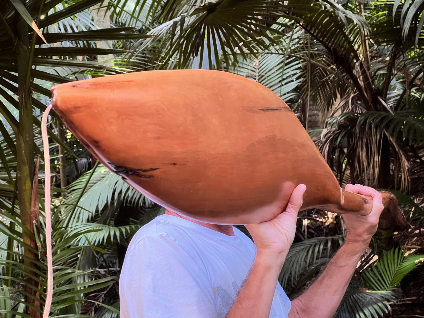 "Waka Paddle 3" 2022