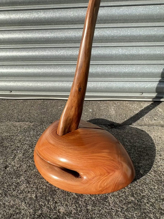 "Navigator 7" 2024